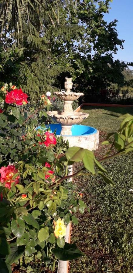 Even Ezer With Private Swimming Pool, Upon Request Apartment *